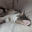 Astrid favicon