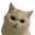 mtsz.pl favicon